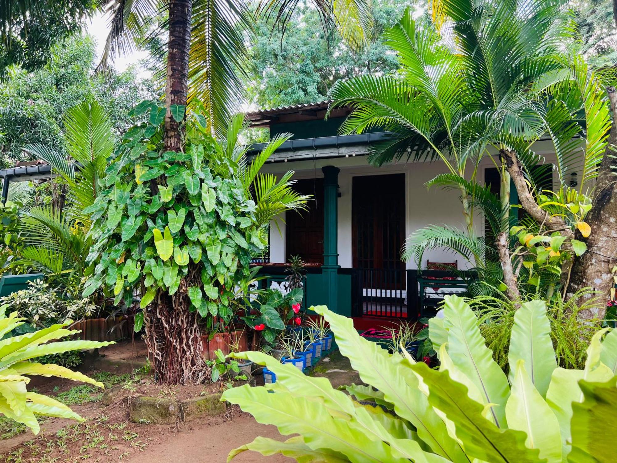 Sigiri Budget Homestay Сигирия Екстериор снимка
